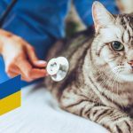 День ветеринарної служби в Україні