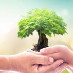 День працівника соціальної сфери