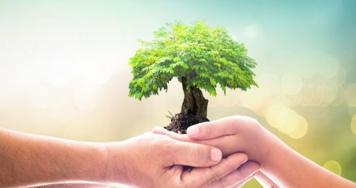 День працівника соціальної сфери