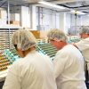 День працівників харчової промисловості