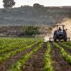 День працівників сільського господарства України