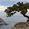 День АР Крим