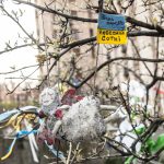 День Героїв Небесної Сотні