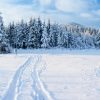 Миколи Студеного