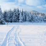 Миколи Студеного