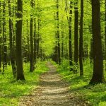 День пам’яті мученика Никандра Єгиптянина