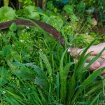 Захарів день