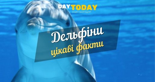 дельфіни - цікаві факти