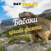 цікаві факти про бабака