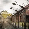 Міжнародний день визволення в'язнів нацистських концтаборів