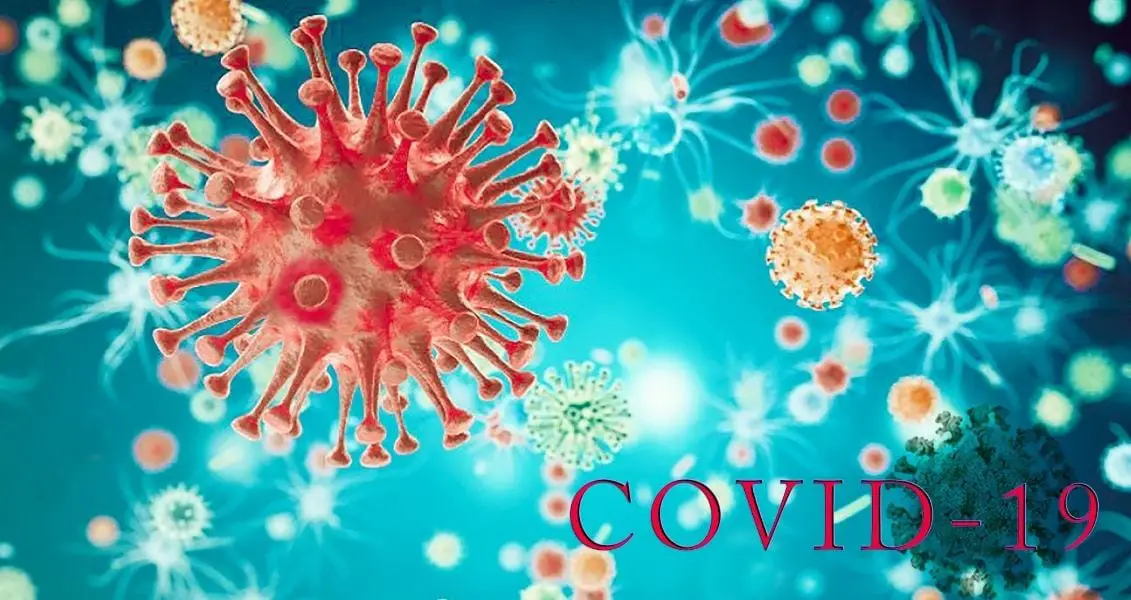 Пандемія COVID-19
