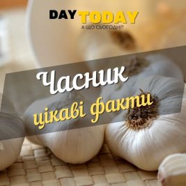 Часник - панацея від усіх хвороб? Цікаві факти про часник