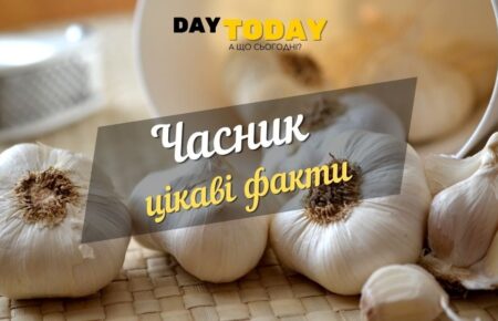 Часник - панацея від усіх хвороб? Цікаві факти про часник