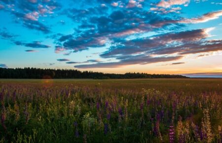 День степу в Україні