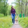 День власників домашніх тварин День незалежності власників домашніх тварин