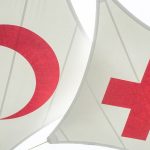 День заснування Товариства Червоного Хреста на Україні