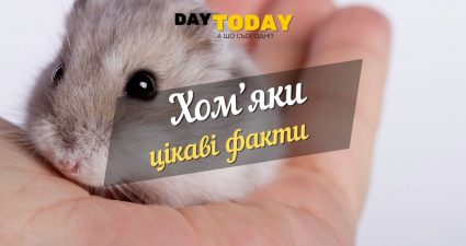 Ходімо далі? Наступна стаття