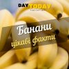 Цікаві факти про банани