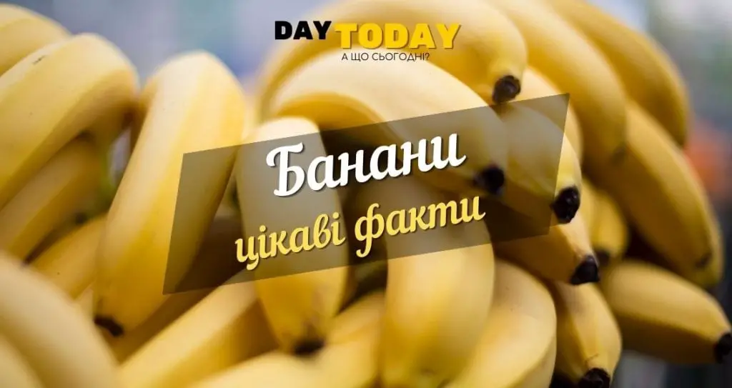 Цікаві факти про банани