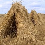 День пам’яті святого Стефана