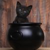 Міжнародний день чорного кота