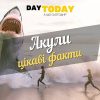 акули - цікаві факти