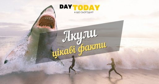 акули - цікаві факти