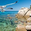 Всесвітній день моря