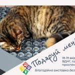 Виставка бездомних котів, гризунів і риб
