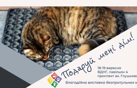 Виставка бездомних котів, гризунів і риб