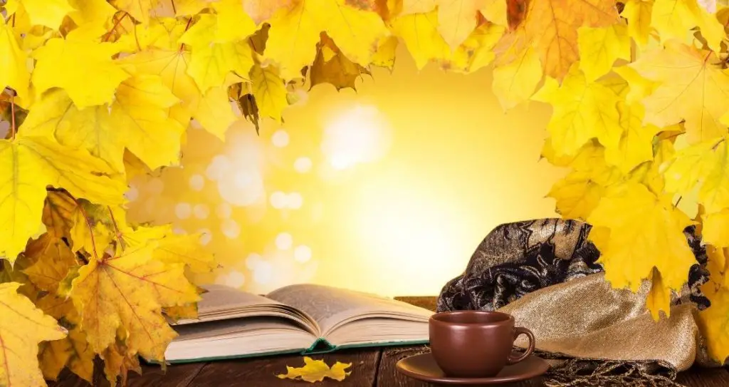 добірка книг з осіннім настроєм