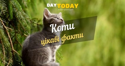 Ходімо далі? Наступна стаття