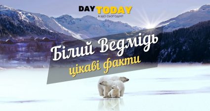 Ходімо далі? Наступна стаття