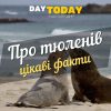 Цікаві факти про тюленiв (1)