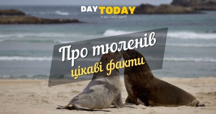 Ходімо далі? Наступна стаття