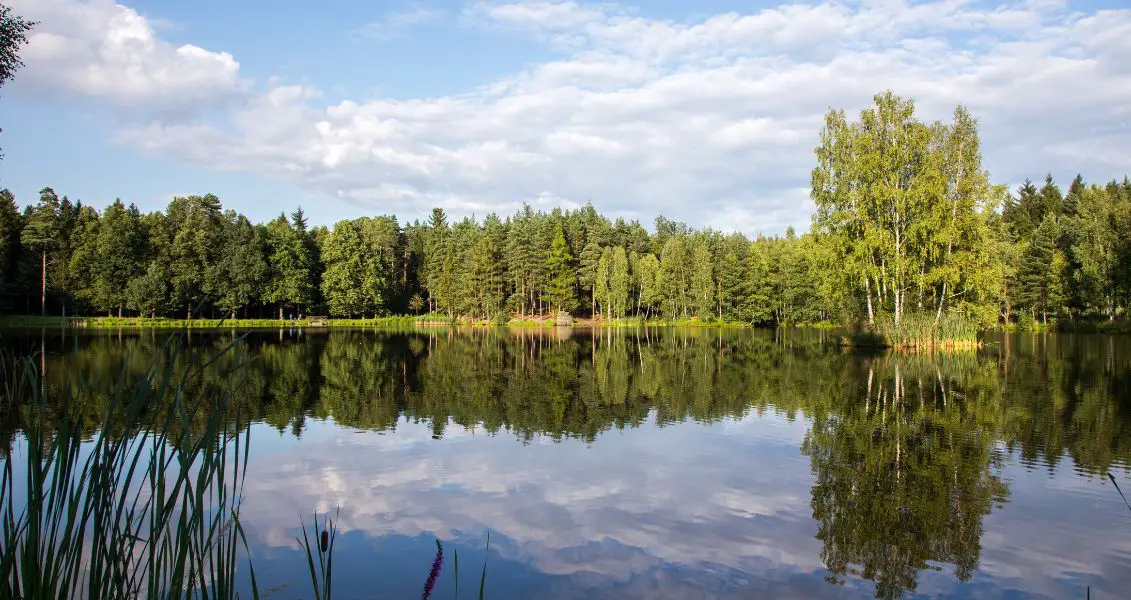 Лаврентіїв день (Свято мірошника)
