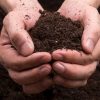 День ґрунтознавця в Україні