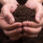 День ґрунтознавця в Україні