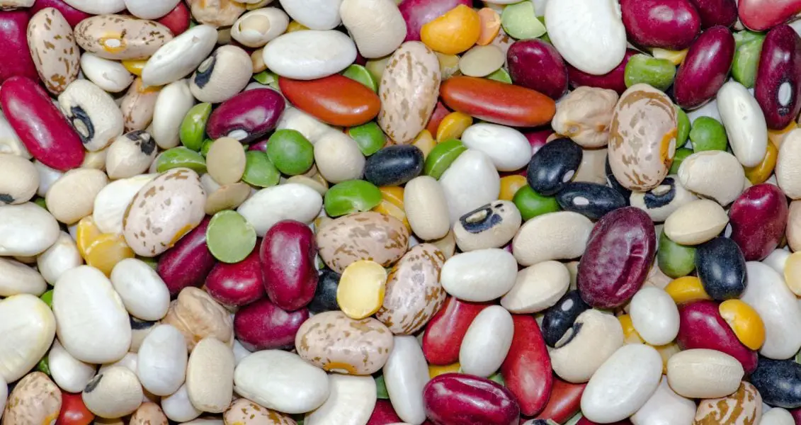 День квасолі (National Bean Day) відзначають 6 січня.