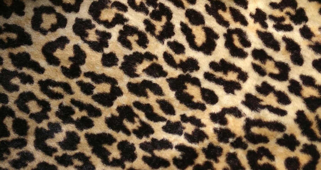 Візерунок на шкірі гепарда