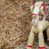 Йоль (Yule)