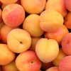 День абрикоса (National Apricot Day США) відзначають 9 січня.