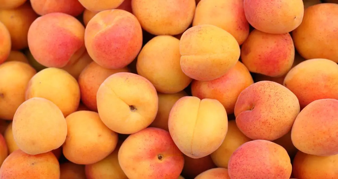День абрикоса (National Apricot Day США) відзначають 9 січня.