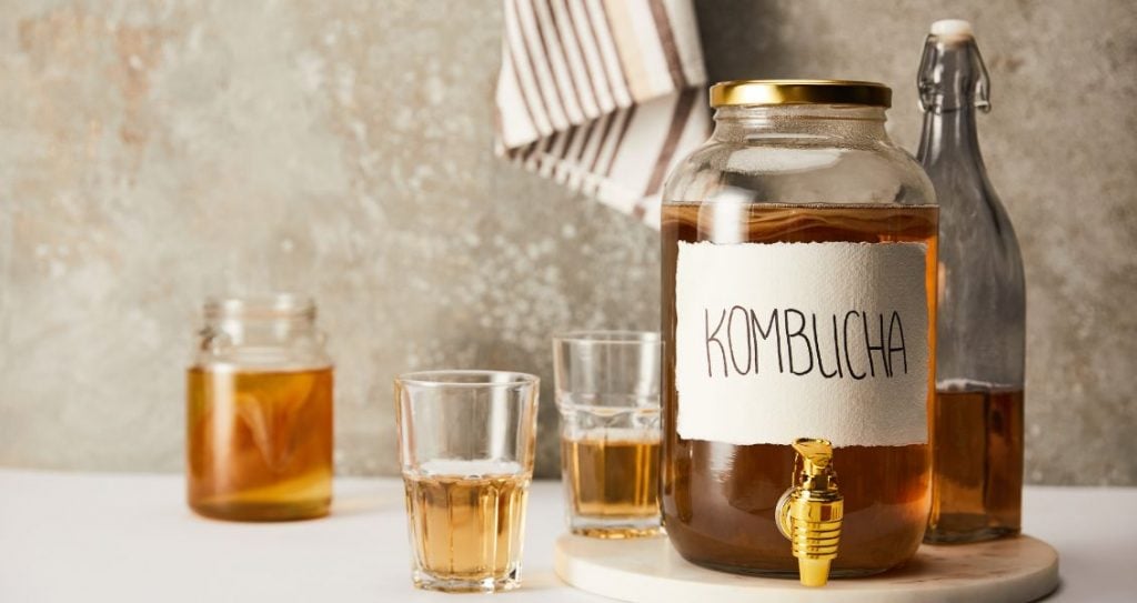 Всесвітній день комбучі (World Kombucha Day)