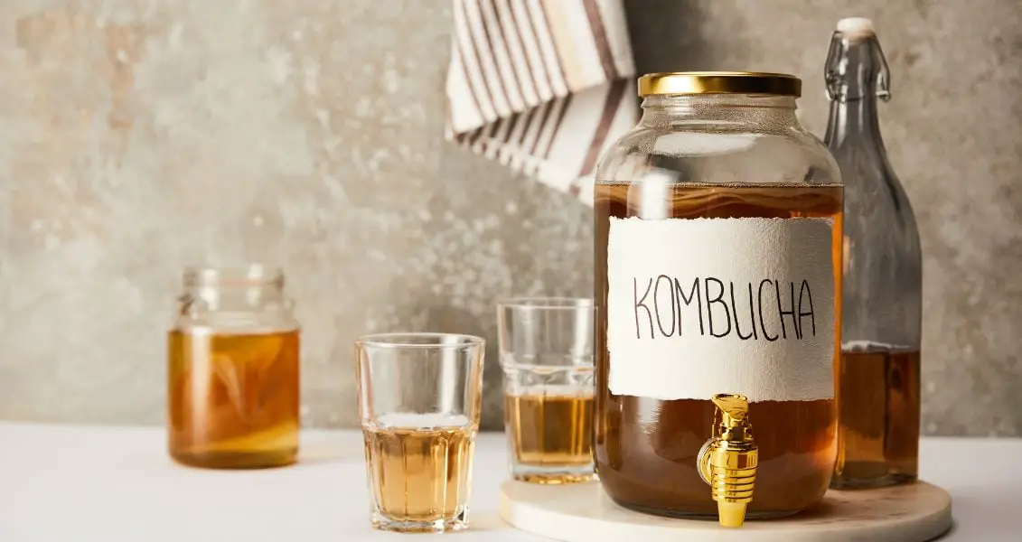 Всесвітній день комбучі (World Kombucha Day)