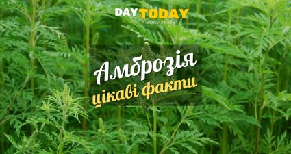 Ходімо далі? Наступна стаття