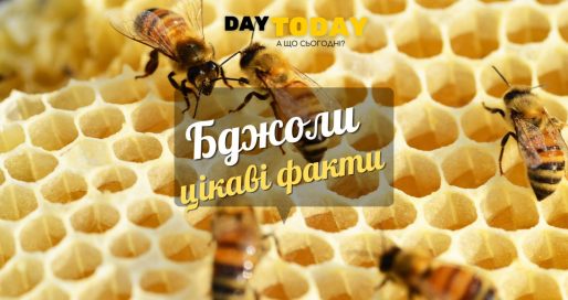 Цікаві факти про бджіл