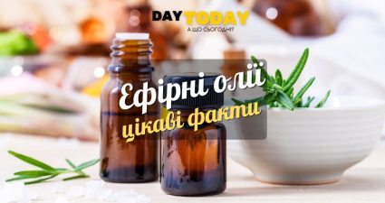 Ходімо далі? Наступна стаття