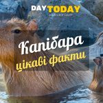 Цікаві факти про капібару