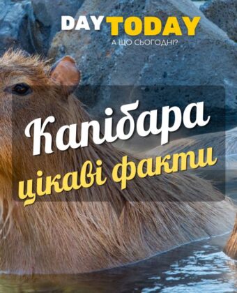 Цікаві факти про капібару